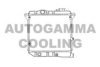 AUTOGAMMA 100076 Radiator, engine cooling